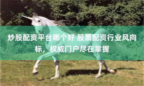 炒股配资平台哪个好 股票配资行业风向标，权威门户尽在掌握