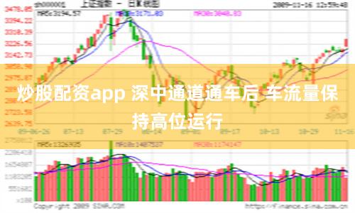 炒股配资app 深中通道通车后 车流量保持高位运行