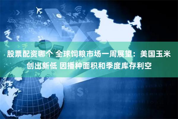 股票配资哪个 全球饲粮市场一周展望：美国玉米创出新低 因播种面积和季度库存利空