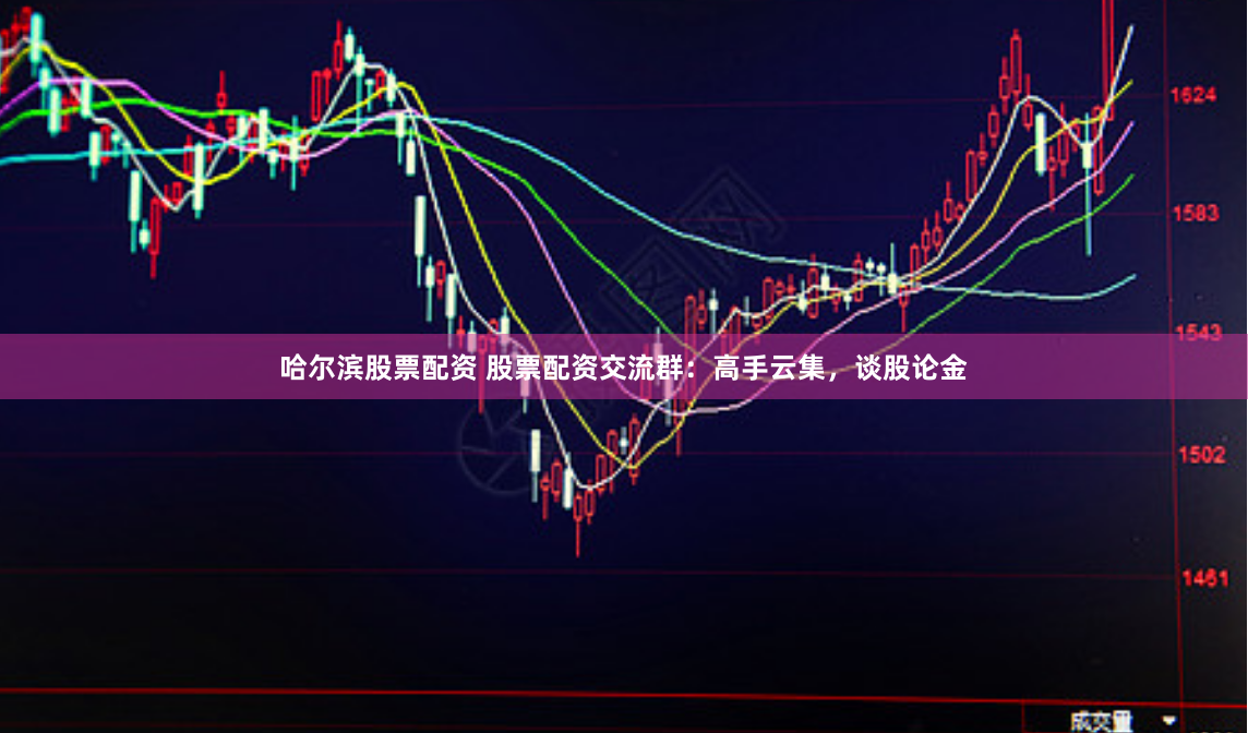 哈尔滨股票配资 股票配资交流群：高手云集，谈股论金